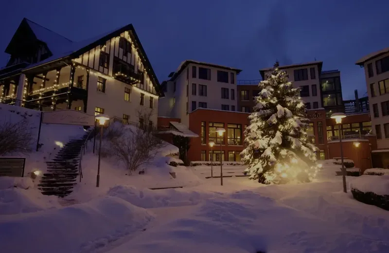 Hotel Esplanade Resort & Spa in Bad Saarow im Winter